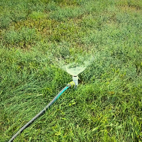 Zraszacz statyczny na szpilce Green Star