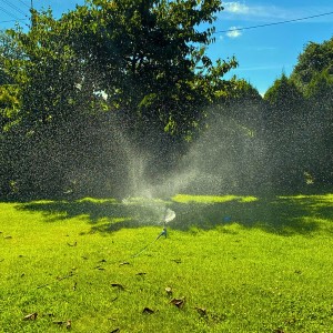 Zraszacz obrotowy na szpilce wbijany Green Star