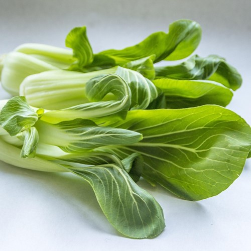Kapusta chińska Pak Choi 1 g