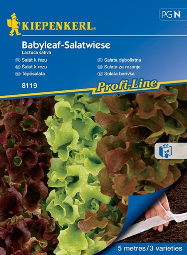 Sałata dębolistna Babyleaf-Salatwiese - nasiona na taśmie