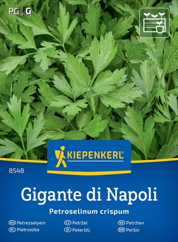 Pietruszka naciowa Gigante di Napoli - nasiona