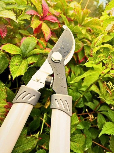 Sekator do gałęzi z długimi rączkami Green Star 66 cm