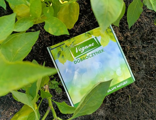 Dobroczynek Kalifornijski - saszetki 10 szt.