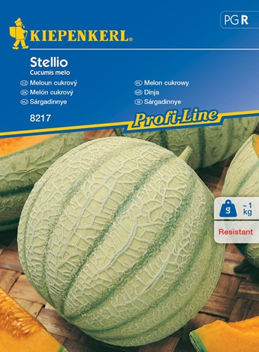 Melon cukrowy Stellio F1