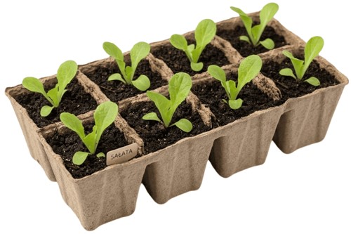 Doniczki z włókna kokosowego 6 cm – 3 palety po 8 doniczek