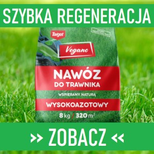 Regeneracja Trawnika Wiosną