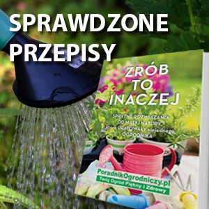 Sprawdzone Przepisy