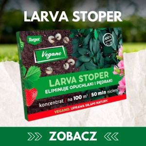 Środek na pędraki