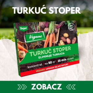 Środek na turkucia podjadka