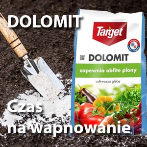 Dolomit do wapnowania gleb