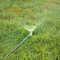 Zraszacz statyczny na szpilce Green Star