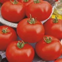 Pomidor sałatkowy Phantasia F1