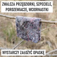 Dobroczynek gruszowy - opaski filcowe 10 szt.