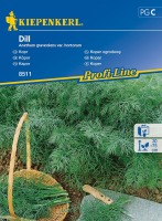 Koper ogrodowy jednoroczny Dill