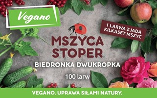 Mszyca Stoper - larwy biedronki na mszyce - 100 szt. Vegano