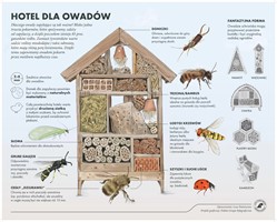 Domek dla owadów pożytecznych DOW 002