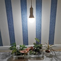 Żarówka LED E27 do doświetlania roślin + abażur