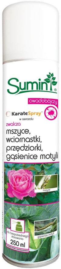 Karate Spray Aerozol 250 ml zwalcza szkodniki