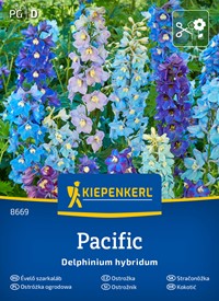 Ostróżka wieloletnia - nasiona mieszanka kolorowych odmian