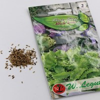 Endywia mieszanka odmian Baby Leaf 1,5 g