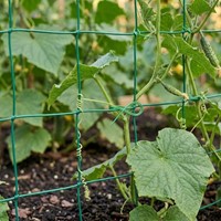 Drut ogrodniczy do podwiązywania roślin 25 m Green Star