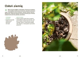 Pomysłowy Ogrodnik - Filip Johansson - Książka