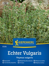 Tymianek pospolity wieloletni - Thymus vulgaris - nasiona