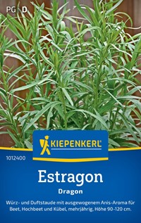 Estragon Dragon - Artemisia dracunculus - nasiona