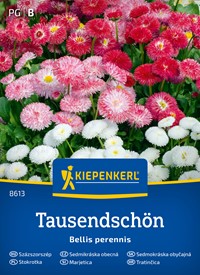 Stokrotka pospolita - mieszanka odmian - nasiona