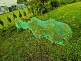 Siatka ochronna przeciw ptakom 2x5 m Green Star