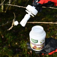 MAŚĆ OGRODNICZA Z PĘDZLEM FITOPLASTER 350g