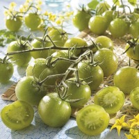 Pomidor cherry Limetto F1