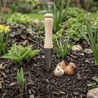 Pikownik do sadzenia z drewnianą rączką 22 cm Green Star