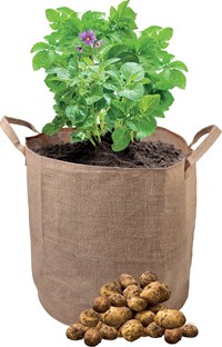 Jutowa torba do sadzenia ziemniaków