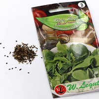 Zielone listki mieszanka włoska Baby Leaf 1,5 g