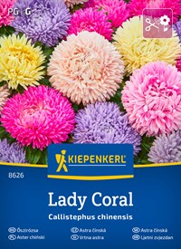 Aster chiński Lady Coral Mix