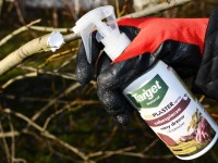 Fitoplaster 250 g maść ogrodnicza w sprayu