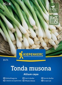 Cebula siedmiolatka zimowa Tonda Musona