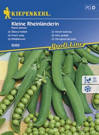Groch łuskowy Kleine Rheinländerin