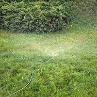 Zraszacz obrotowy 3-ramienny na szpilce Green Star