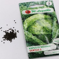 Kapusta włoska Vertus 2 - 2 g