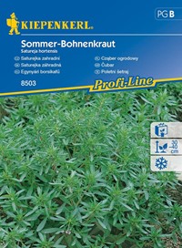 Cząber ogrodowy Sommer-Bohnenkraut