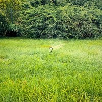 Zraszacz obrotowy przenośny Green Star