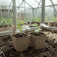 Doniczki z włókna kokosowego kwadratowe – 6 cm x 20 szt.