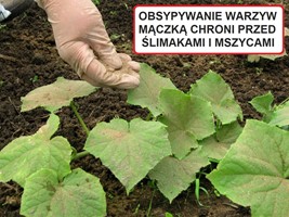 Mączka Bazaltowa 3 kg