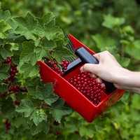 Zbieraczka - maszynka do zbierania jagód, borówek, porzeczek