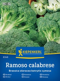 Brokuł Ramoso Calabrese - nasiona