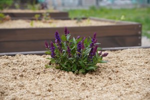 Ściółka ogrodowa ze słomy Plantimax Uniwersal 33 l