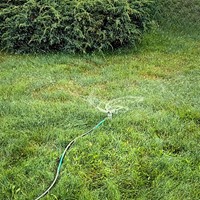 Zraszacz obrotowy 3-ramienny na szpilce Green Star