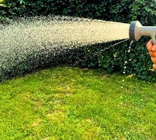 Zraszacz ogrodowy ręczny pistoletowy Shower Green Star